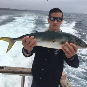 Meet your Posher, Nicholas